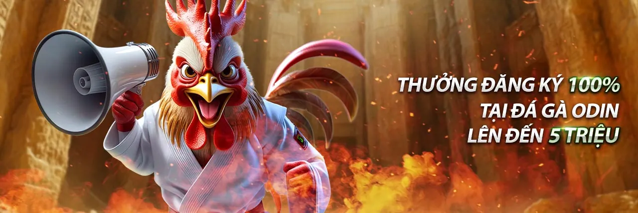 Cá Cược Thể Thao Sunwin 2026 - Sân vận động bóng đá với khán giả cuồng nhiệt